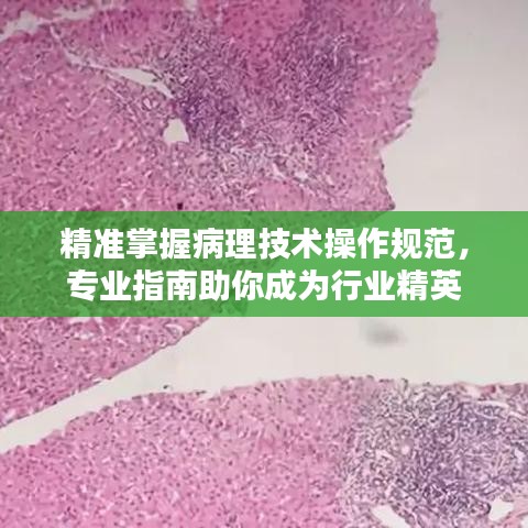 精準(zhǔn)掌握病理技術(shù)操作規(guī)范，專業(yè)指南助你成為行業(yè)精英
