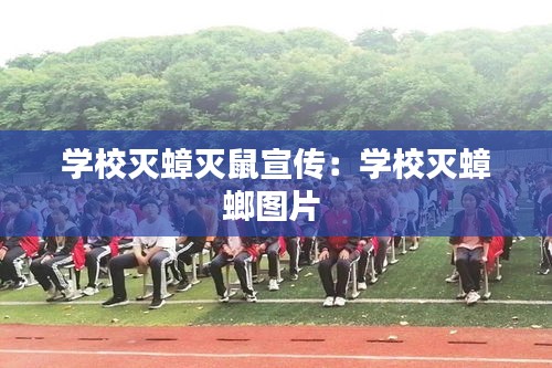 學(xué)校滅蟑滅鼠宣傳：學(xué)校滅蟑螂圖片 