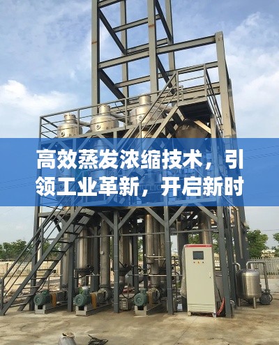 片口張舌 第3頁