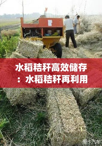 水稻秸稈高效儲(chǔ)存：水稻秸稈再利用 