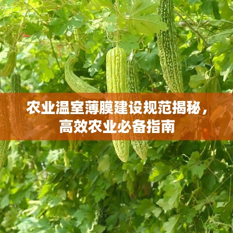 農(nóng)業(yè)溫室薄膜建設(shè)規(guī)范揭秘，高效農(nóng)業(yè)必備指南
