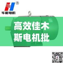 高效佳木斯電機批量定制，開啟電機制造新紀元