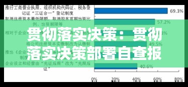 貫徹落實決策：貫徹落實決策部署自查報告 