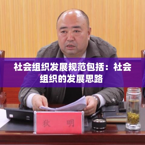 社會(huì)組織發(fā)展規(guī)范包括：社會(huì)組織的發(fā)展思路 