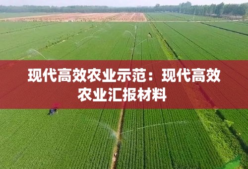 現(xiàn)代高效農(nóng)業(yè)示范：現(xiàn)代高效農(nóng)業(yè)匯報(bào)材料 
