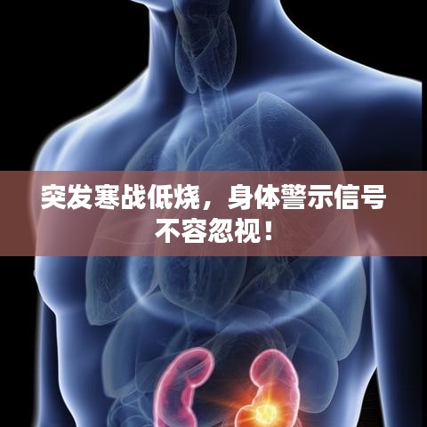 突發(fā)寒戰(zhàn)低燒，身體警示信號不容忽視！