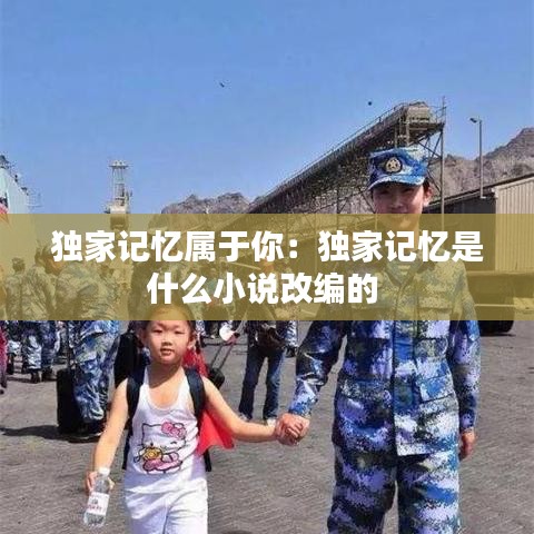 獨家記憶屬于你：獨家記憶是什么小說改編的 