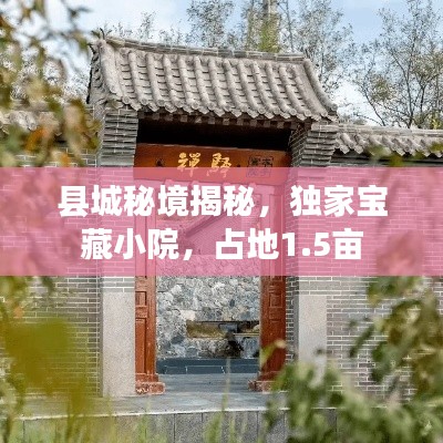 縣城秘境揭秘，獨(dú)家寶藏小院，占地1.5畝