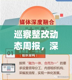 巡察整改動態(tài)周報，深度追蹤落實進度，成效一目了然