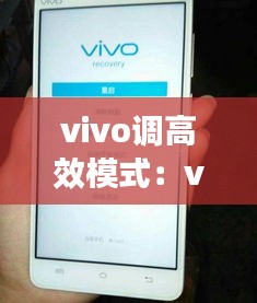 vivo調高效模式：vivo怎么調高刷 
