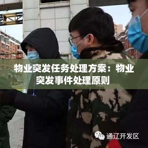 物業(yè)突發(fā)任務(wù)處理方案：物業(yè)突發(fā)事件處理原則 