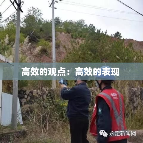 高效的觀點(diǎn)：高效的表現(xiàn) 