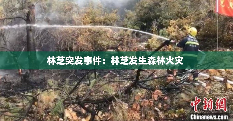 林芝突發(fā)事件：林芝發(fā)生森林火災 