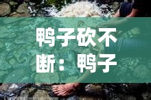 鴨子砍不斷：鴨子砍法 