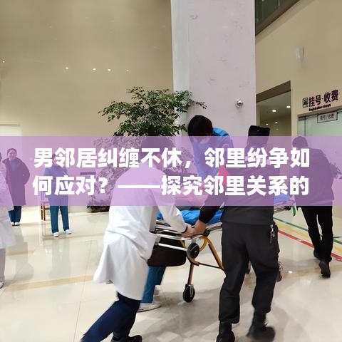 男鄰居糾纏不休，鄰里紛爭如何應(yīng)對？——探究鄰里關(guān)系的困擾與解決策略