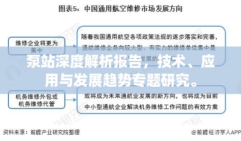 泵站深度解析報告，技術、應用與發(fā)展趨勢專題研究。