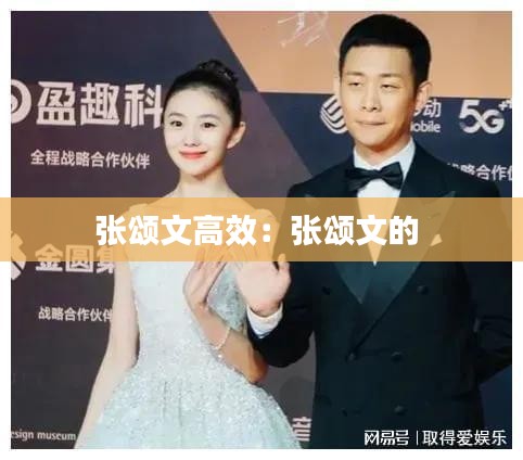張頌文高效：張頌文的 