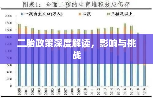 二胎政策深度解讀，影響與挑戰(zhàn)