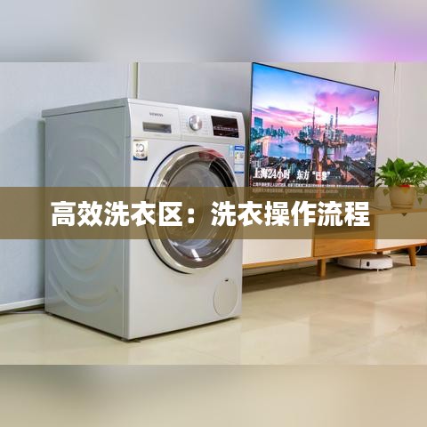 高效洗衣區(qū)：洗衣操作流程 