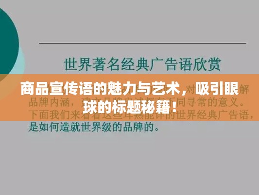 商品宣傳語的魅力與藝術(shù)，吸引眼球的標(biāo)題秘籍！