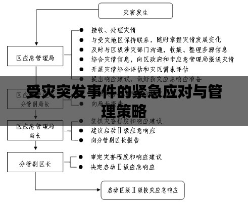 受災(zāi)突發(fā)事件的緊急應(yīng)對(duì)與管理策略