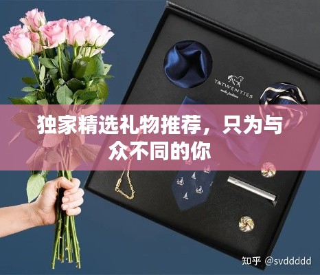 獨(dú)家精選禮物推薦，只為與眾不同的你
