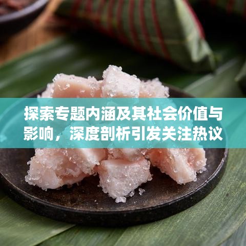 探索專題內(nèi)涵及其社會價值與影響，深度剖析引發(fā)關(guān)注熱議