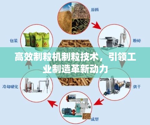高效制粒機制粒技術(shù)，引領(lǐng)工業(yè)制造革新動力
