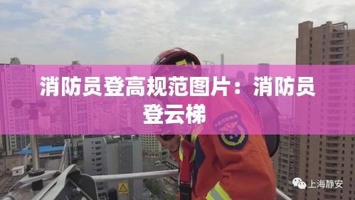 消防員登高規(guī)范圖片：消防員登云梯 
