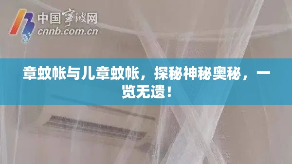 章蚊帳與兒章蚊帳，探秘神秘奧秘，一覽無遺！