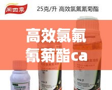資料中心 第143頁