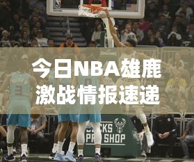 今日NBA雄鹿激戰(zhàn)情報速遞