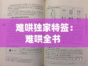 難哄獨(dú)家特簽：難哄全書 