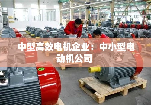 中型高效電機企業(yè)：中小型電動機公司 
