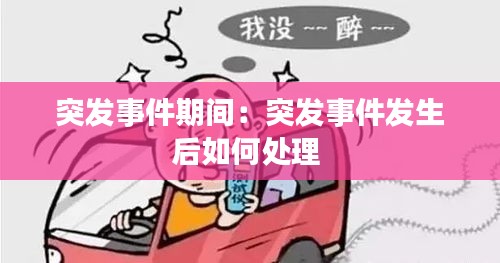 突發(fā)事件期間：突發(fā)事件發(fā)生后如何處理 