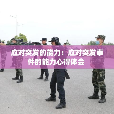 應(yīng)對(duì)突發(fā)的能力：應(yīng)對(duì)突發(fā)事件的能力心得體會(huì) 