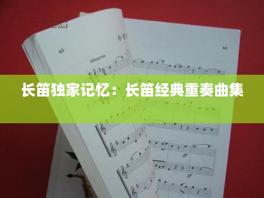 長(zhǎng)笛獨(dú)家記憶：長(zhǎng)笛經(jīng)典重奏曲集 