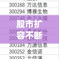 股市擴(kuò)容不斷：a股擴(kuò)容 