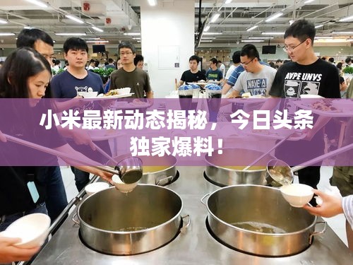 小米最新動態(tài)揭秘，今日頭條獨家爆料！