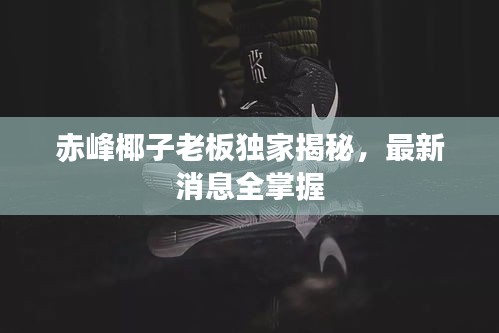 赤峰椰子老板獨(dú)家揭秘，最新消息全掌握