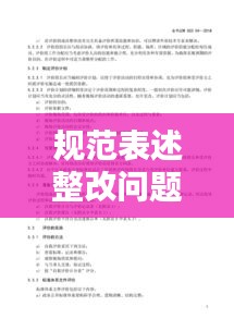 規(guī)范表述整改問題：改進規(guī)范 
