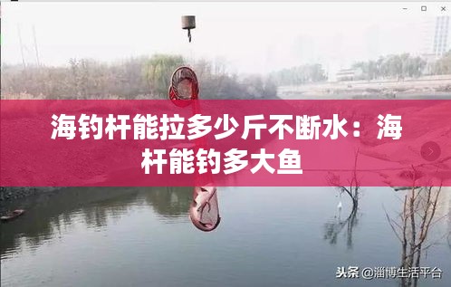 海釣桿能拉多少斤不斷水：海桿能釣多大魚(yú) 