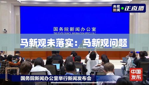 馬新觀未落實：馬新觀問題 