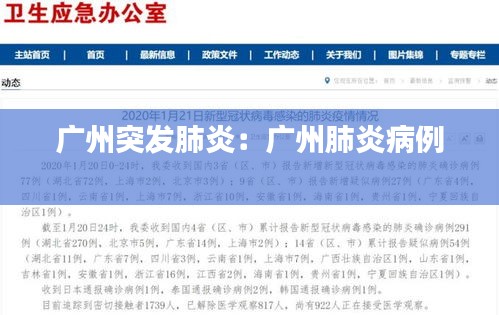 廣州突發(fā)肺炎：廣州肺炎病例 