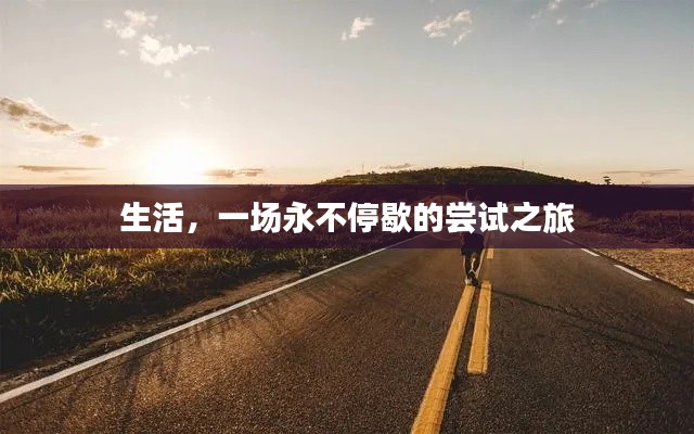 生活，一場永不停歇的嘗試之旅