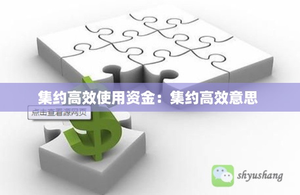 集約高效使用資金：集約高效意思 
