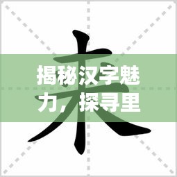 揭秘漢字魅力，探尋里字的筆畫筆順之旅