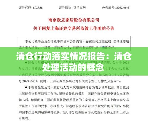 清倉行動落實(shí)情況報告：清倉處理活動的概念 