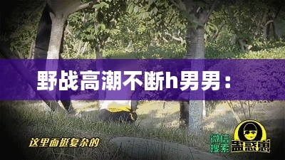 野戰(zhàn)高潮不斷h男男： 