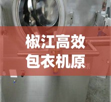 椒江高效包衣機原理圖：描述高效包衣機工作原理 